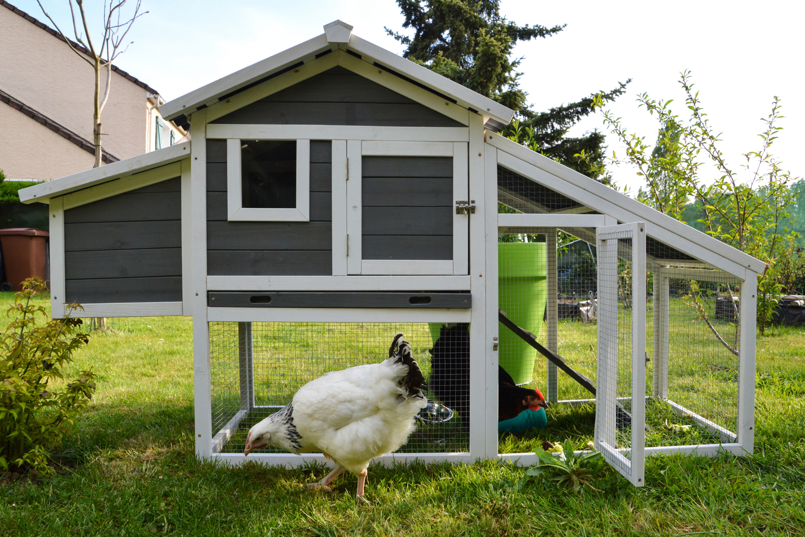 Small chicken coop painted grey and white.