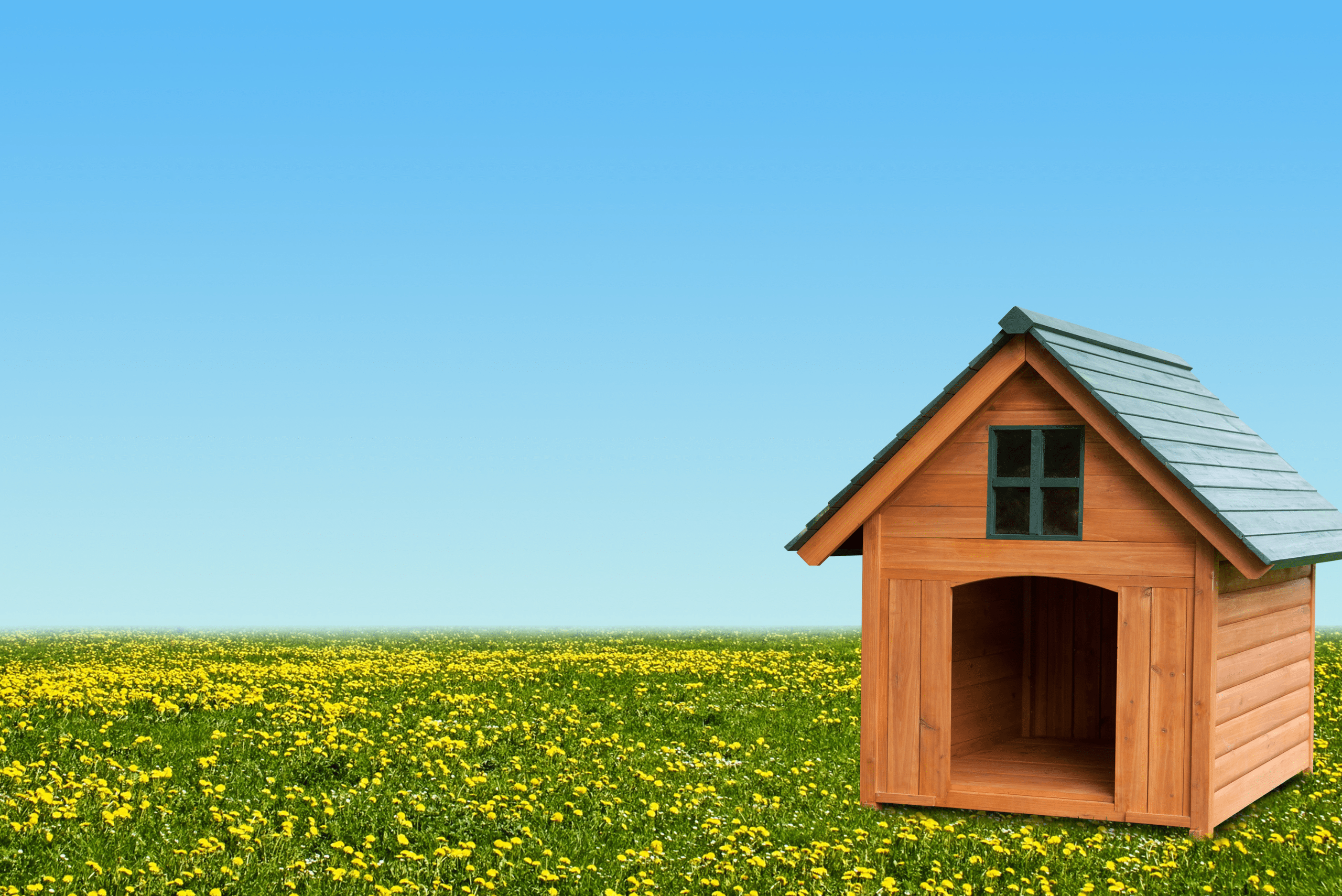A wooden dog house on grass with a green roof and window.