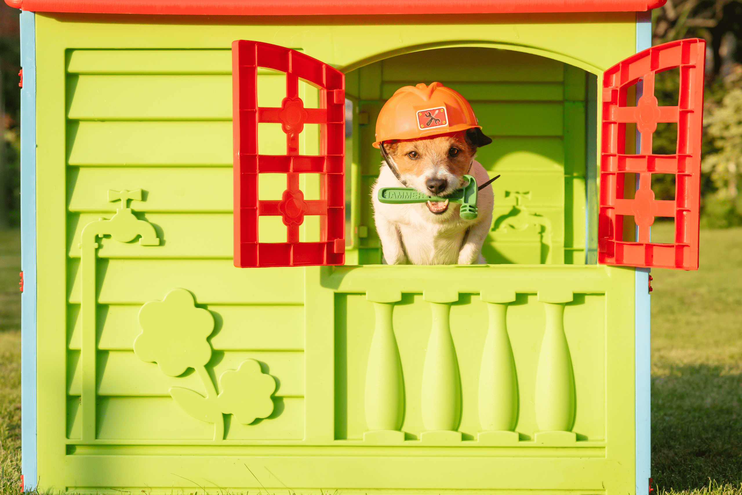 Bright yellow and orange plastic dog house with dog peaking through the window wearing a hardhat and holding a hammer in its mouth.