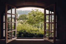 Open Windows for Easy Breathing: Fresh Air Benefits