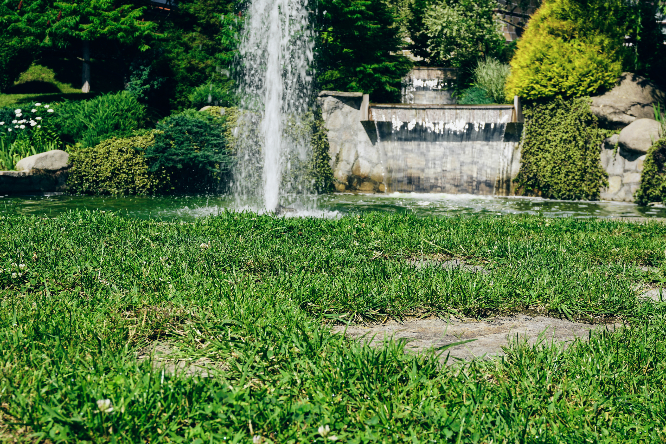 Backyard with water features.