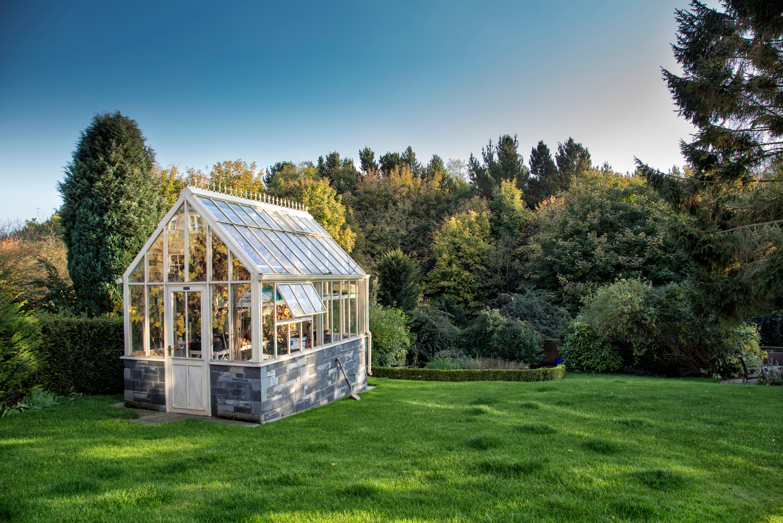 Wooden greenhouse in a backyard.