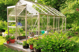 Comprehensive Guide on How to Build a Greenhouse