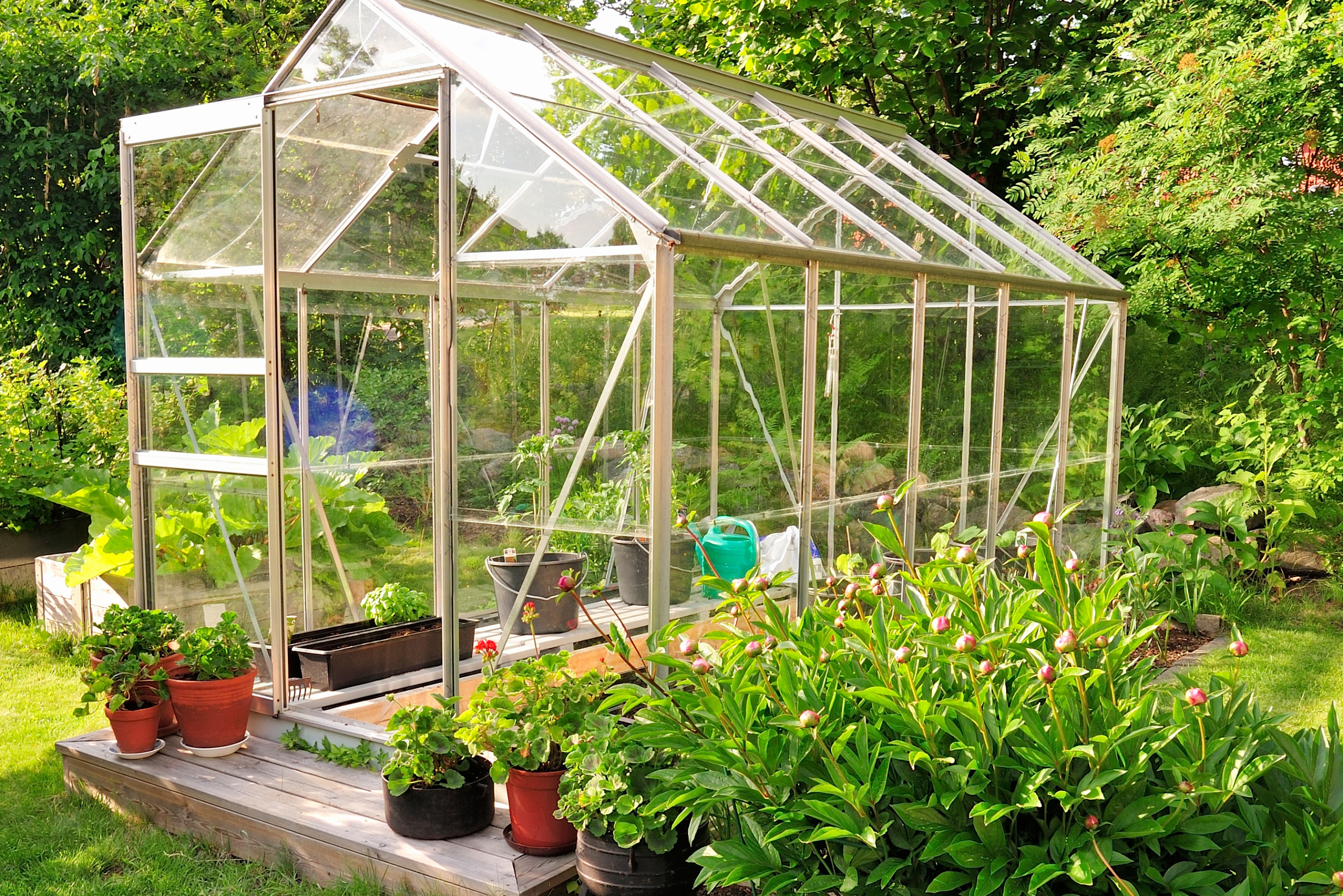 Greenhouse with glass covering that is see through.