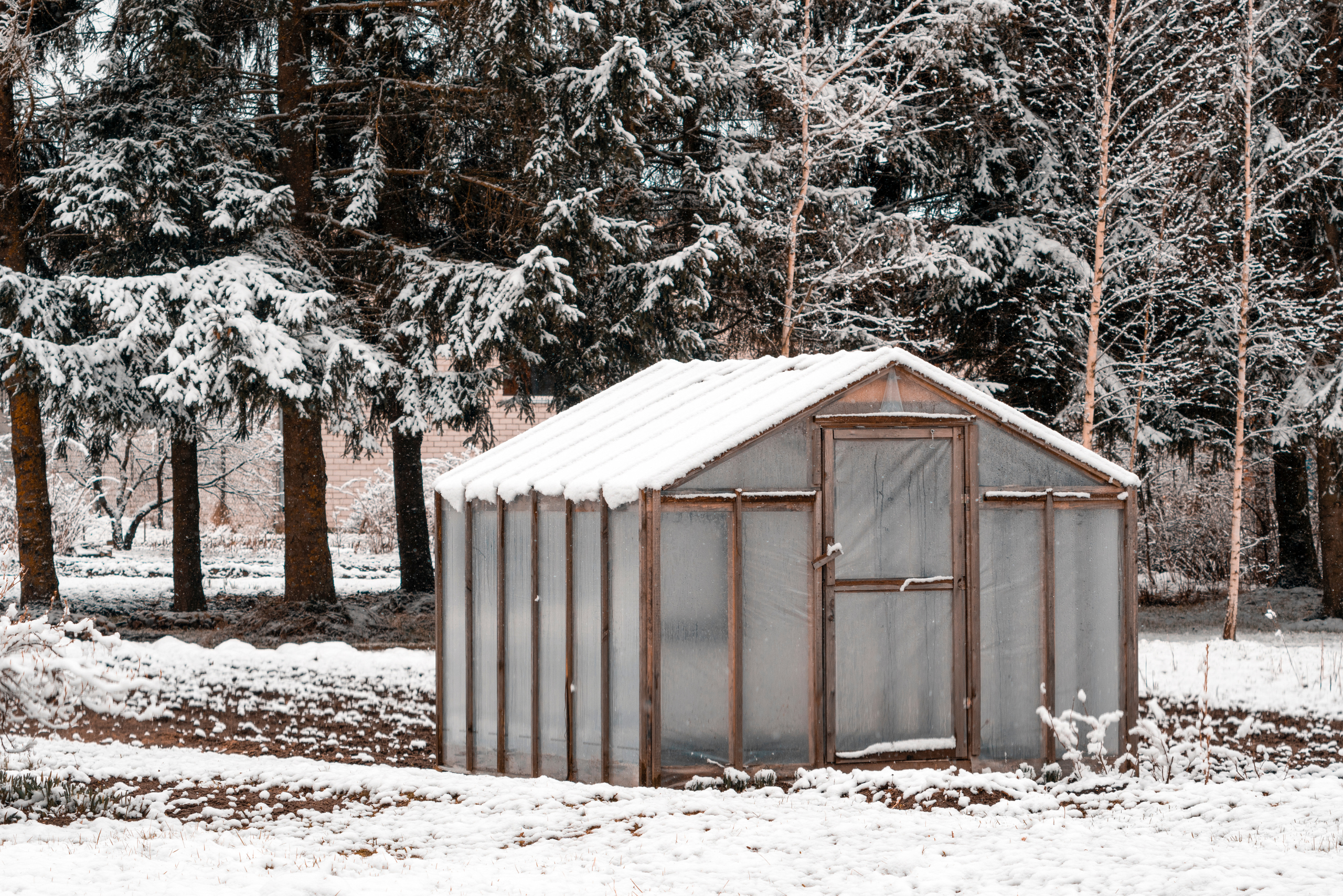Greenhouse covered in snow.