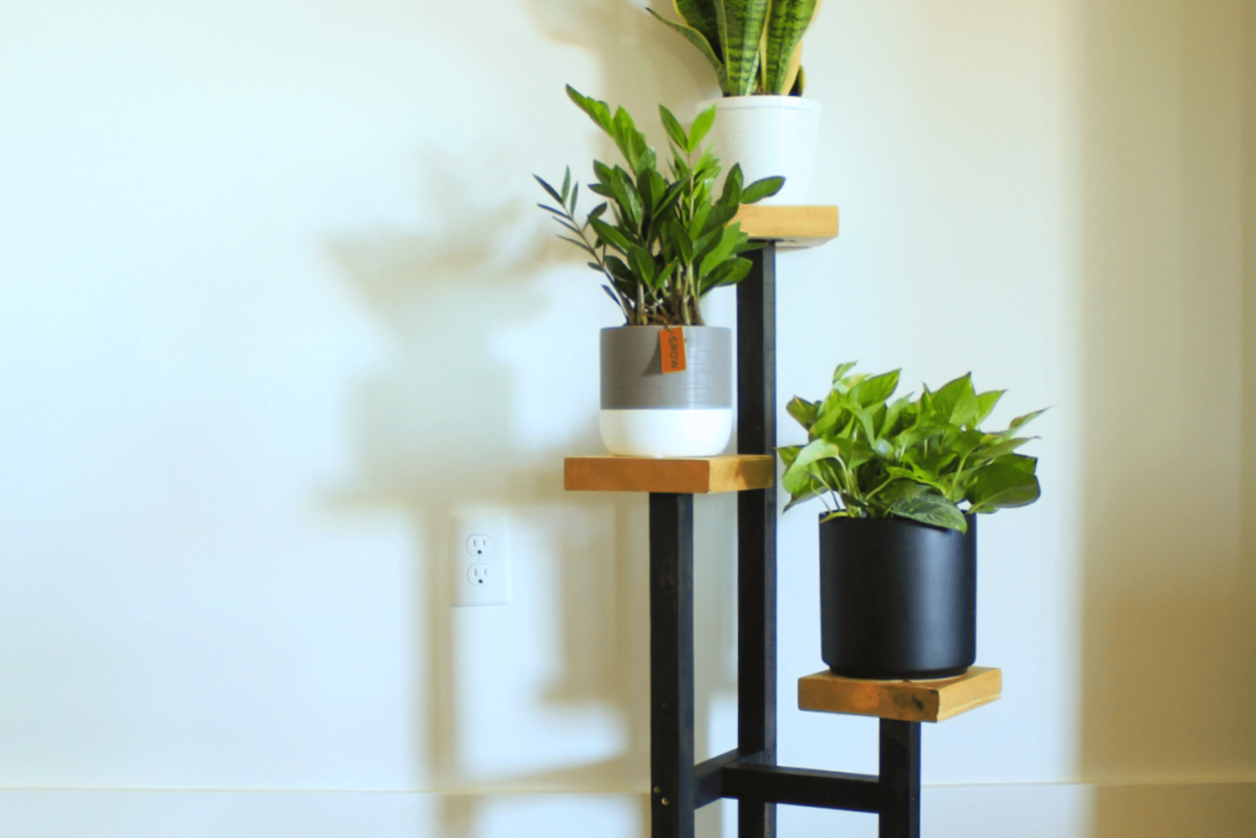 Black metal frame plant stand with wood platforms holding potted plants.