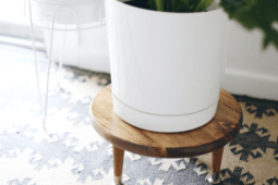 Craft Your Own Stylish DIY Plant Stand