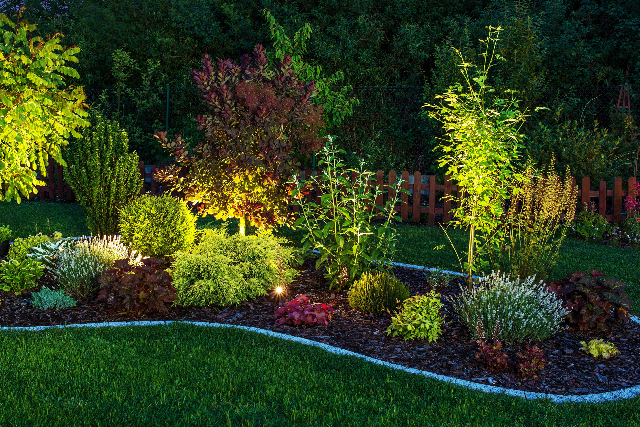 Landscaping with lights.