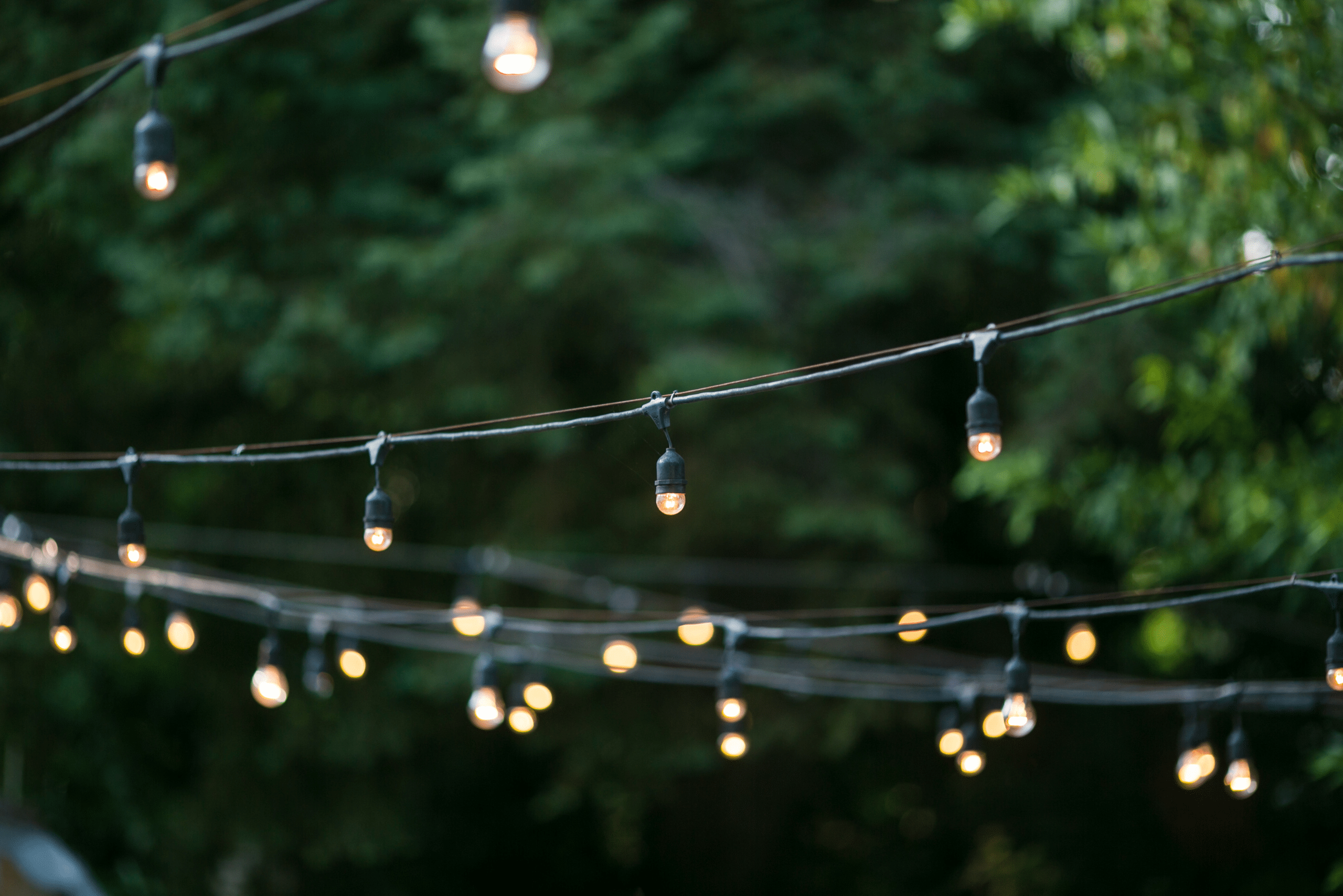 hung up string lights in a backyard.