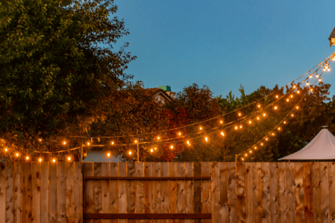 String lights in a backyard hung.