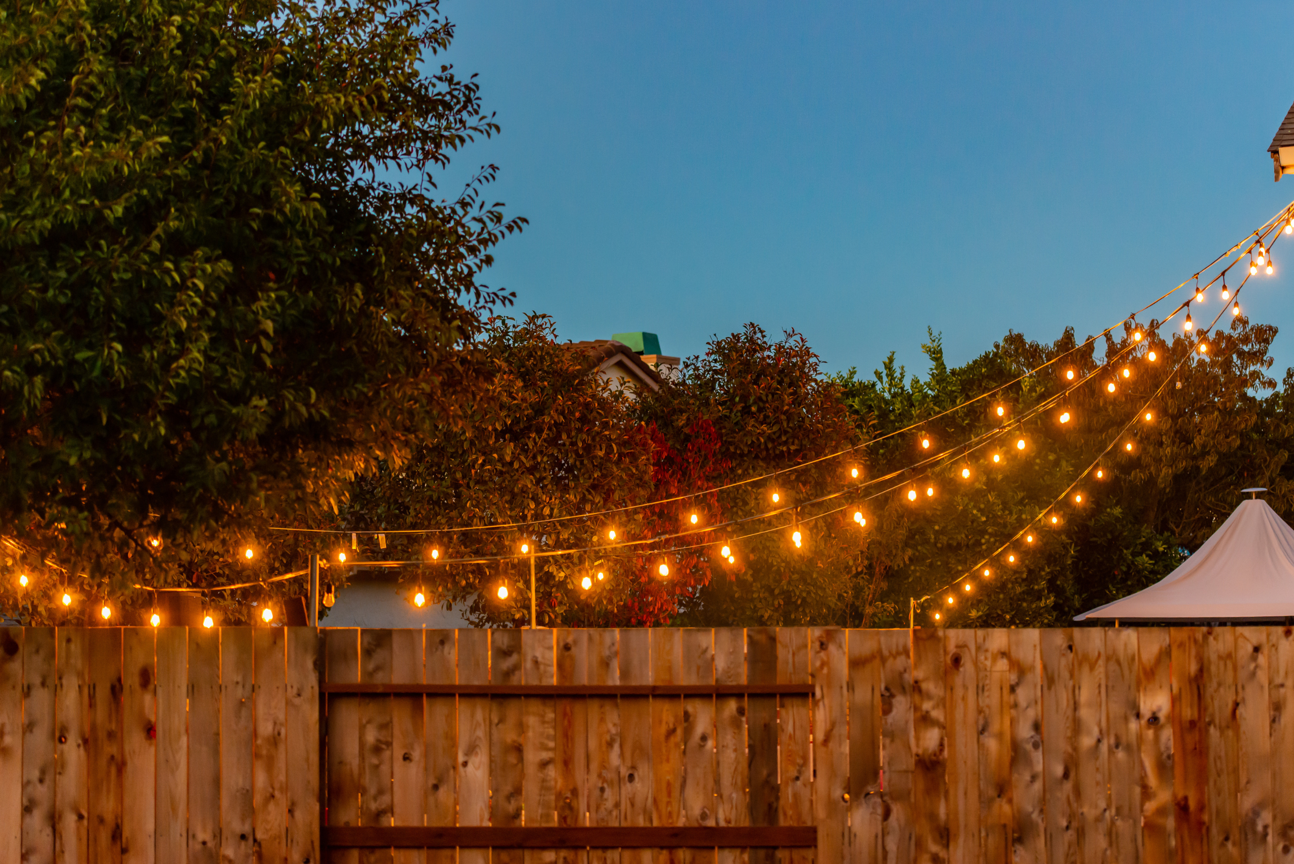 String lights in a backyard hung.
