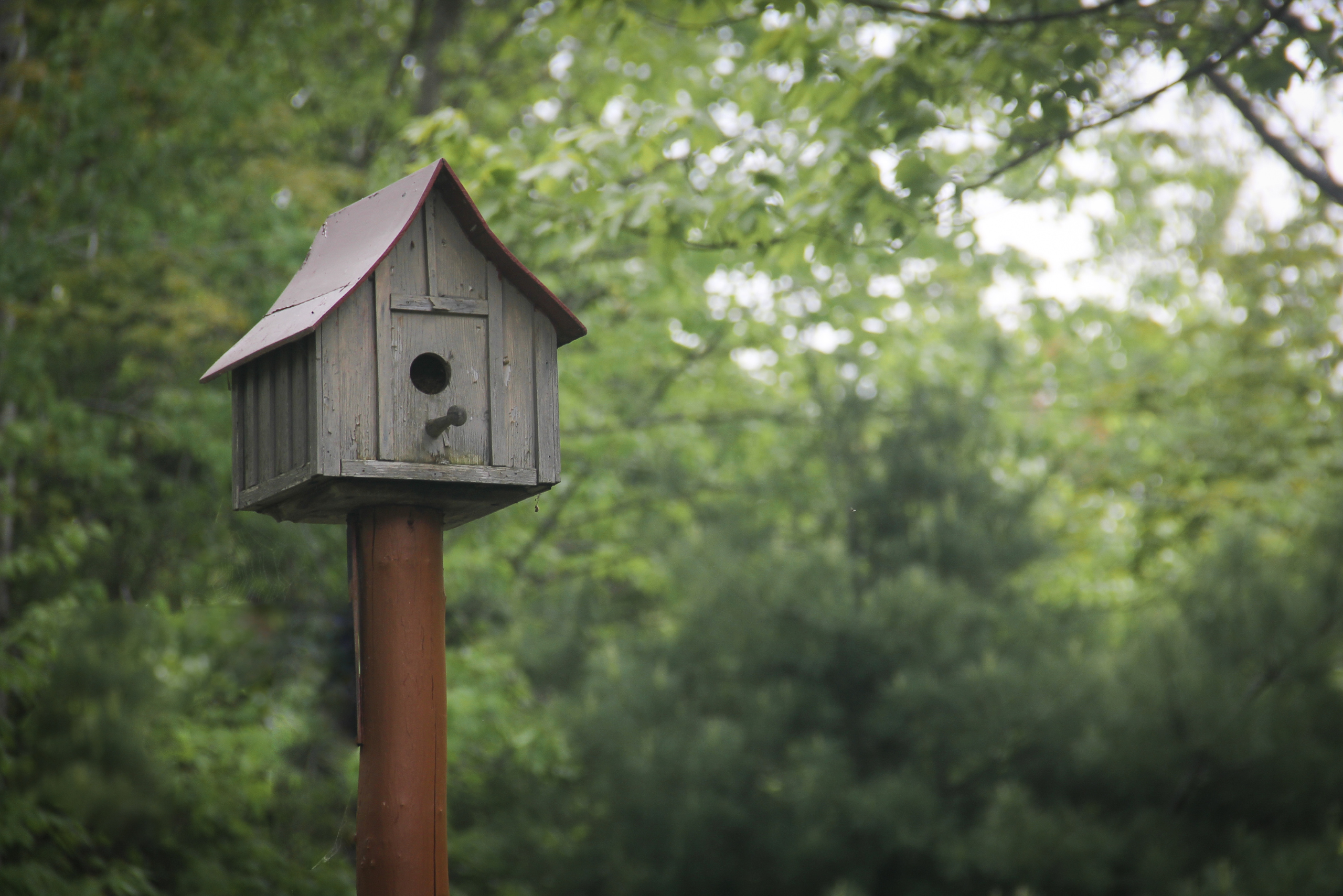 Wooden treehouse mounted on a pole.