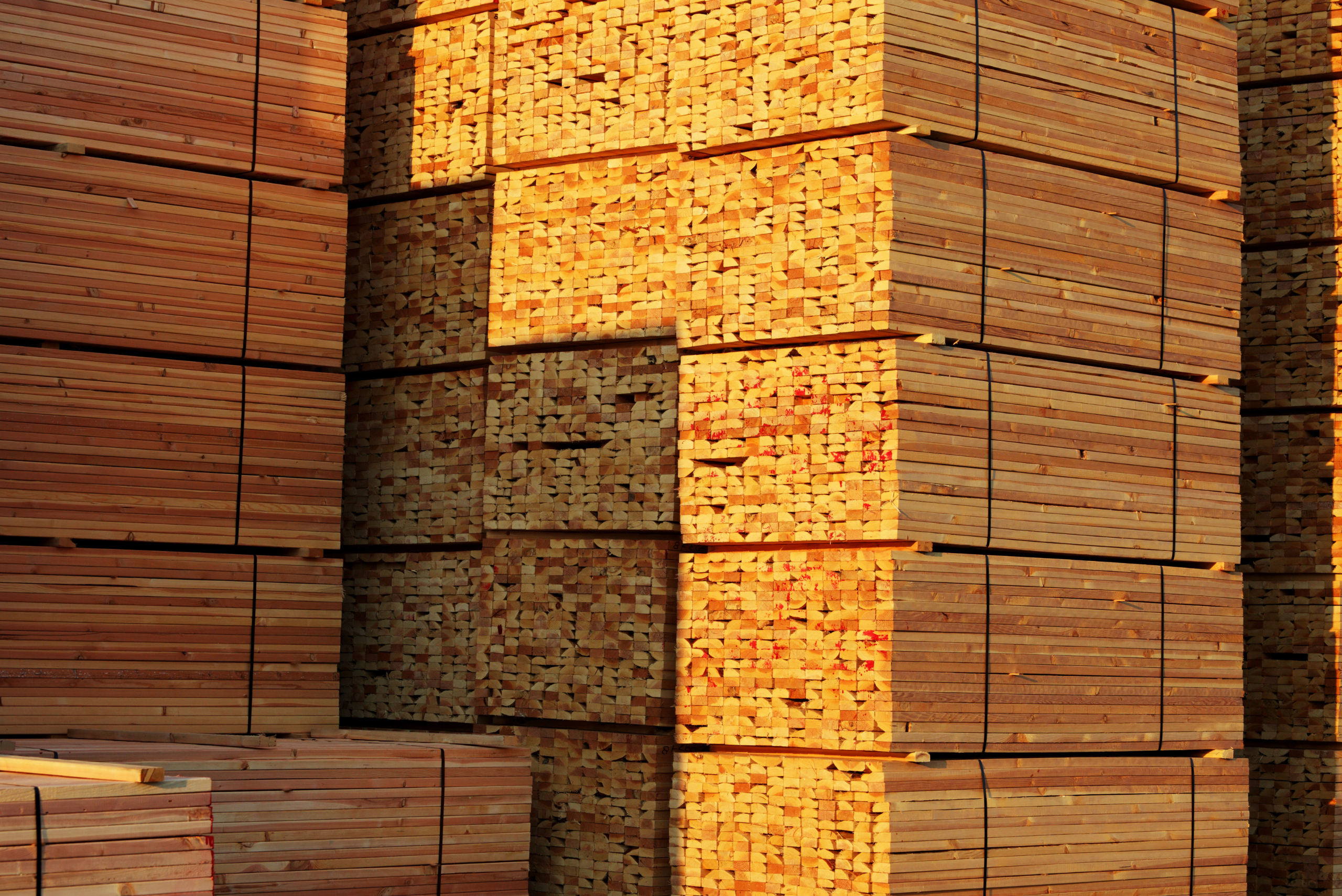 Large stacks of 2x4 wood boards.