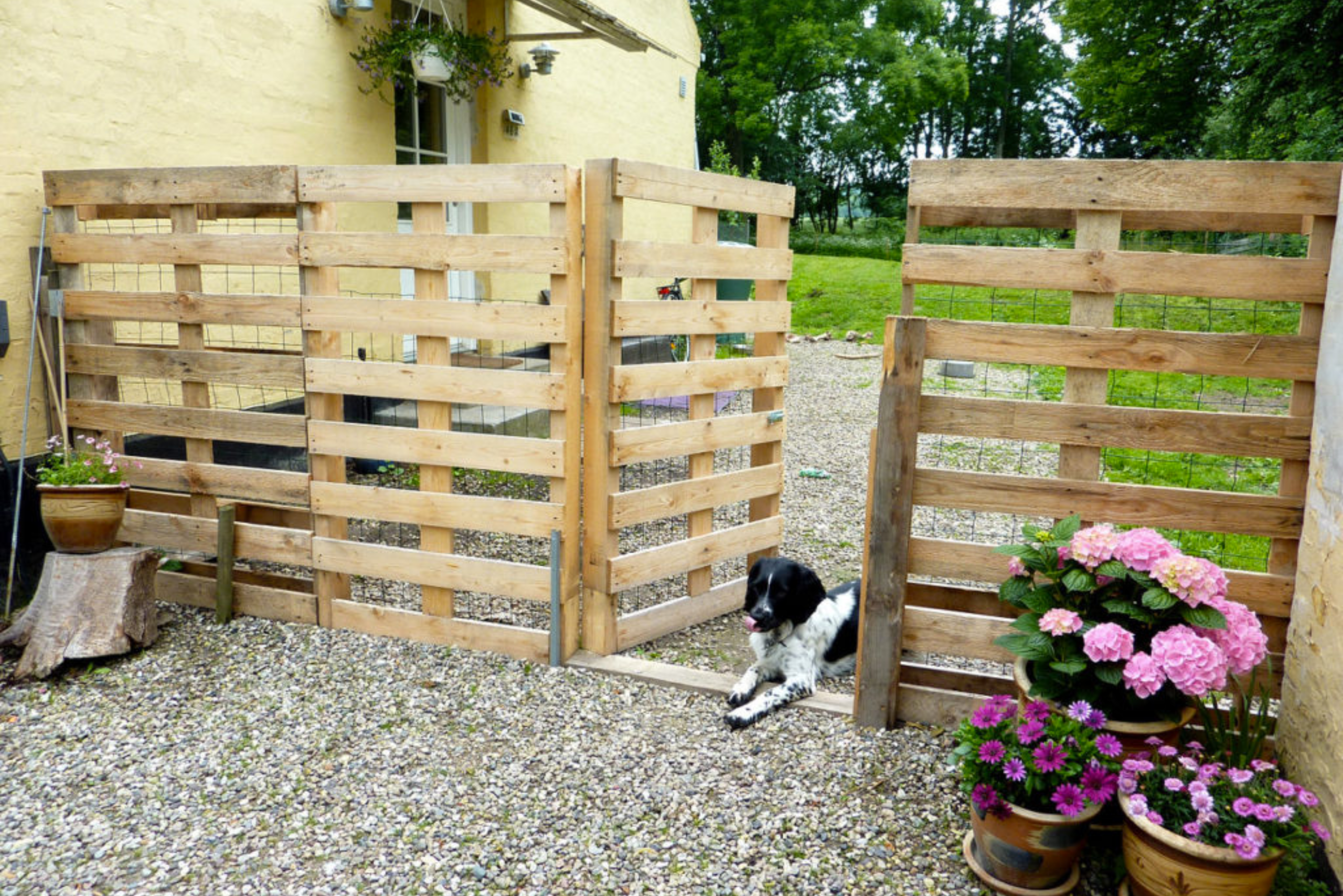 Creative and Budget-Friendly Fence Ideas For Any Home