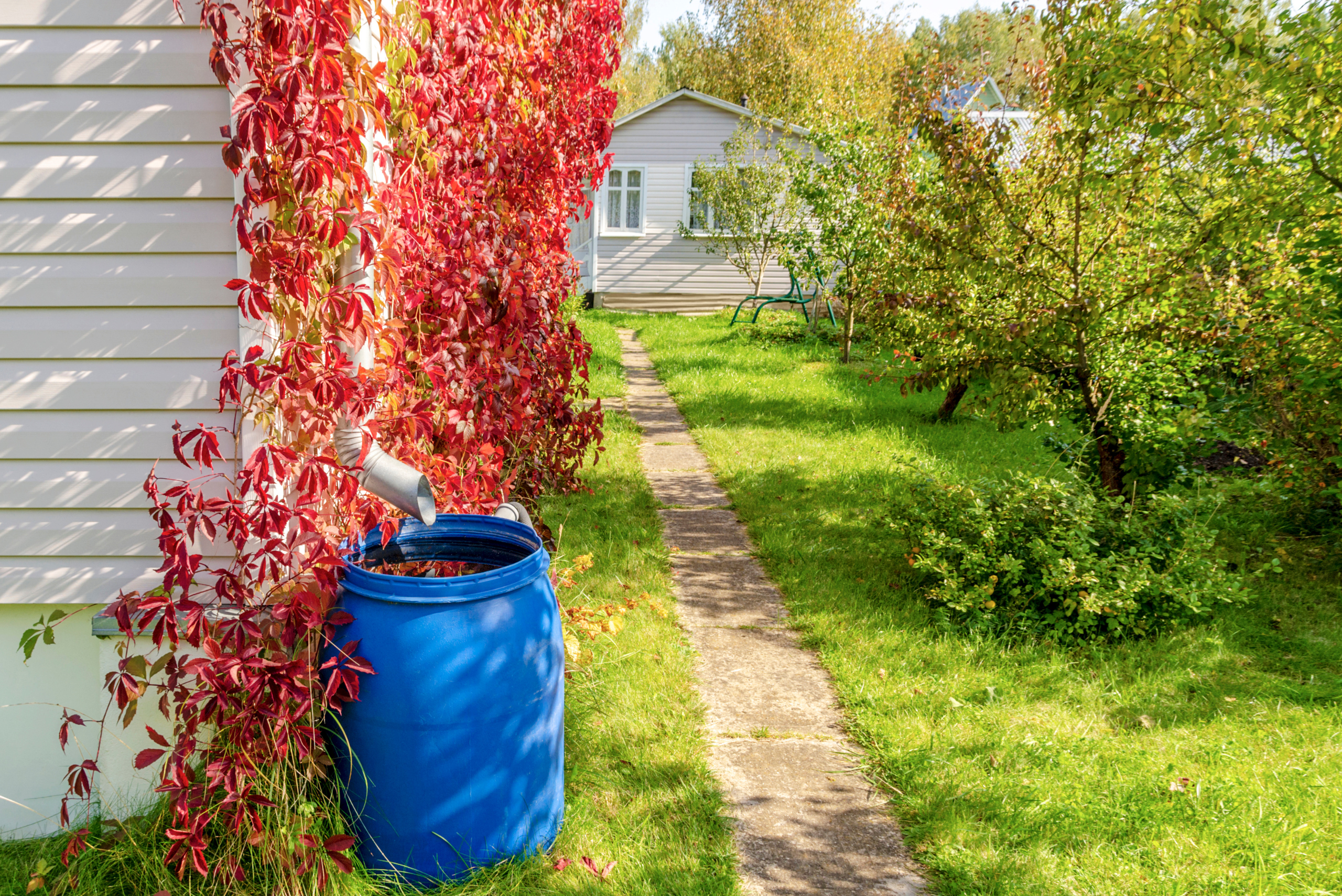 A blue rain barrel system for collecting water.