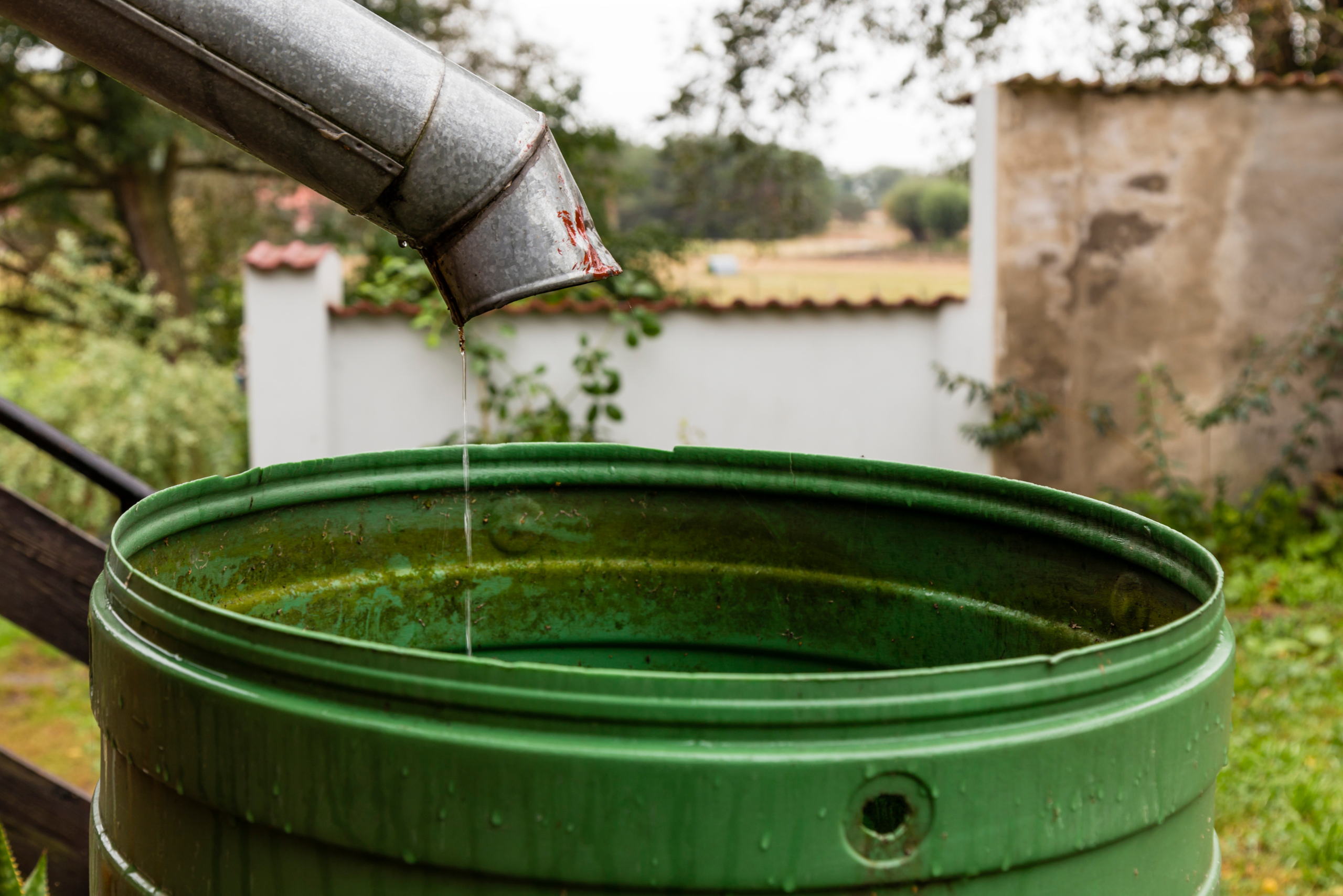 Green plastic rain barrel system with a spout for water collection.