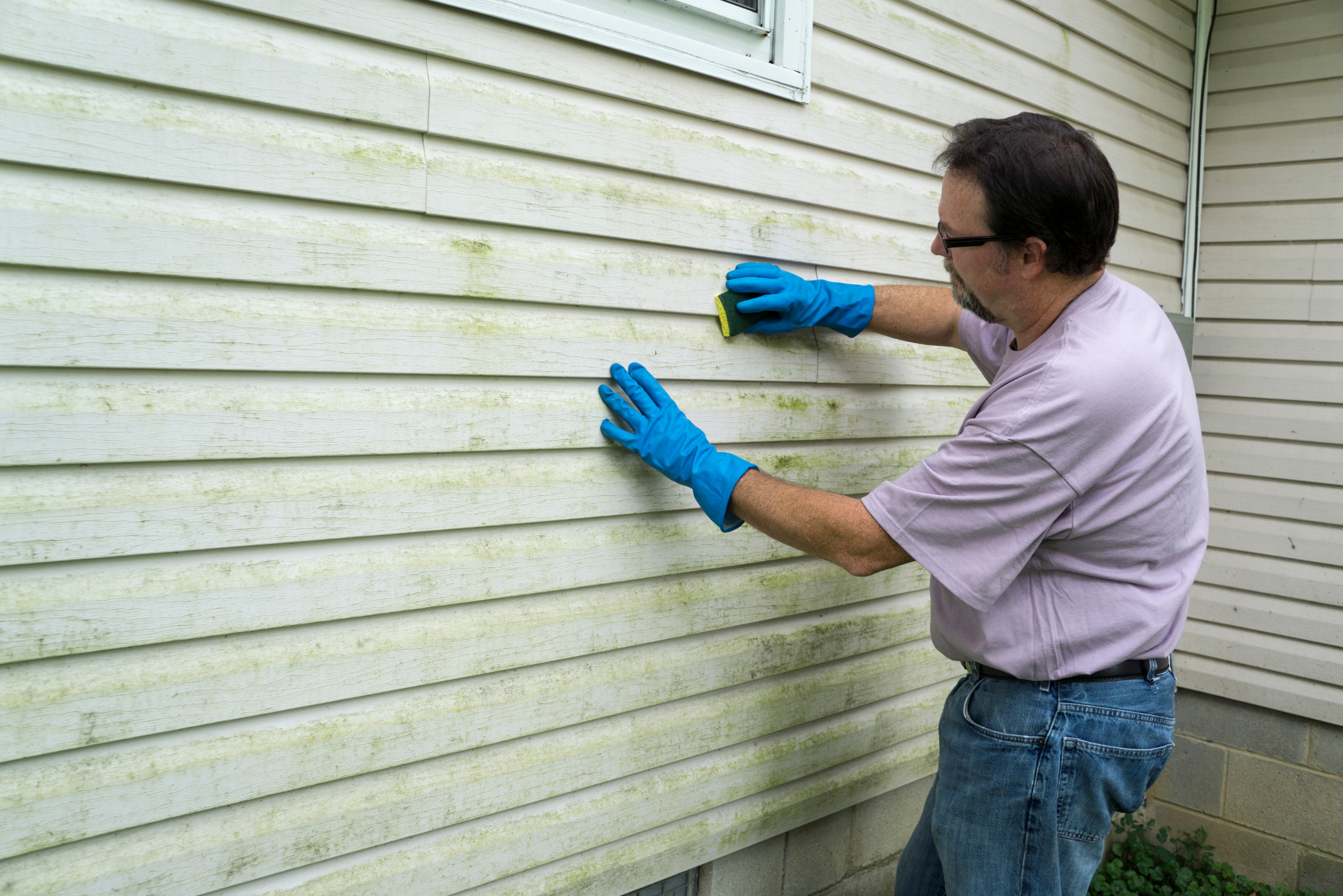 Man cleaning moss build up on the side of a house with vinyl siding.