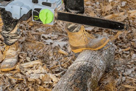 Person using battery chainsaw to cut tree.