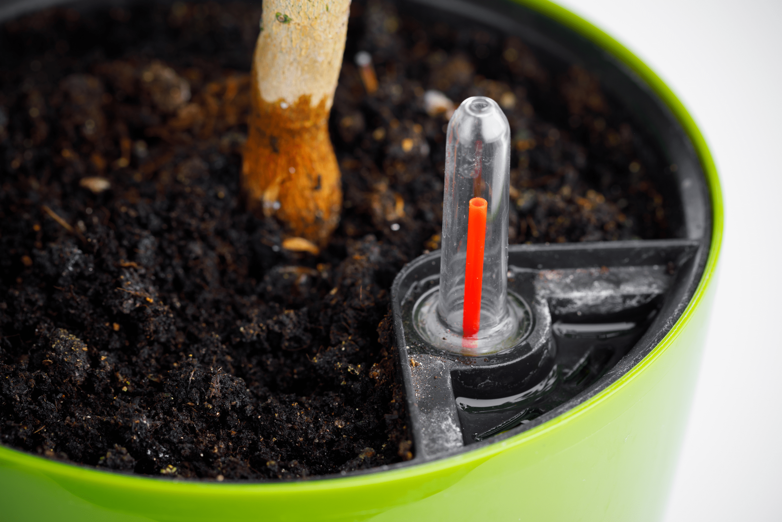 A green planter with soil and self watering system.