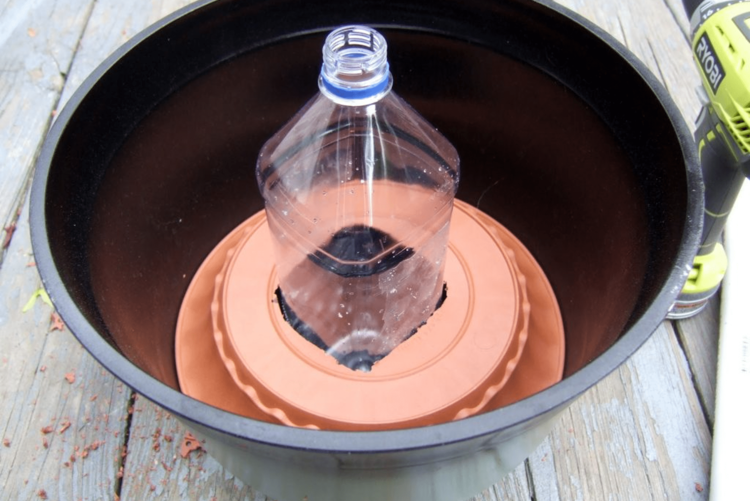 A bottle and planter being turned into a self-watering planter.