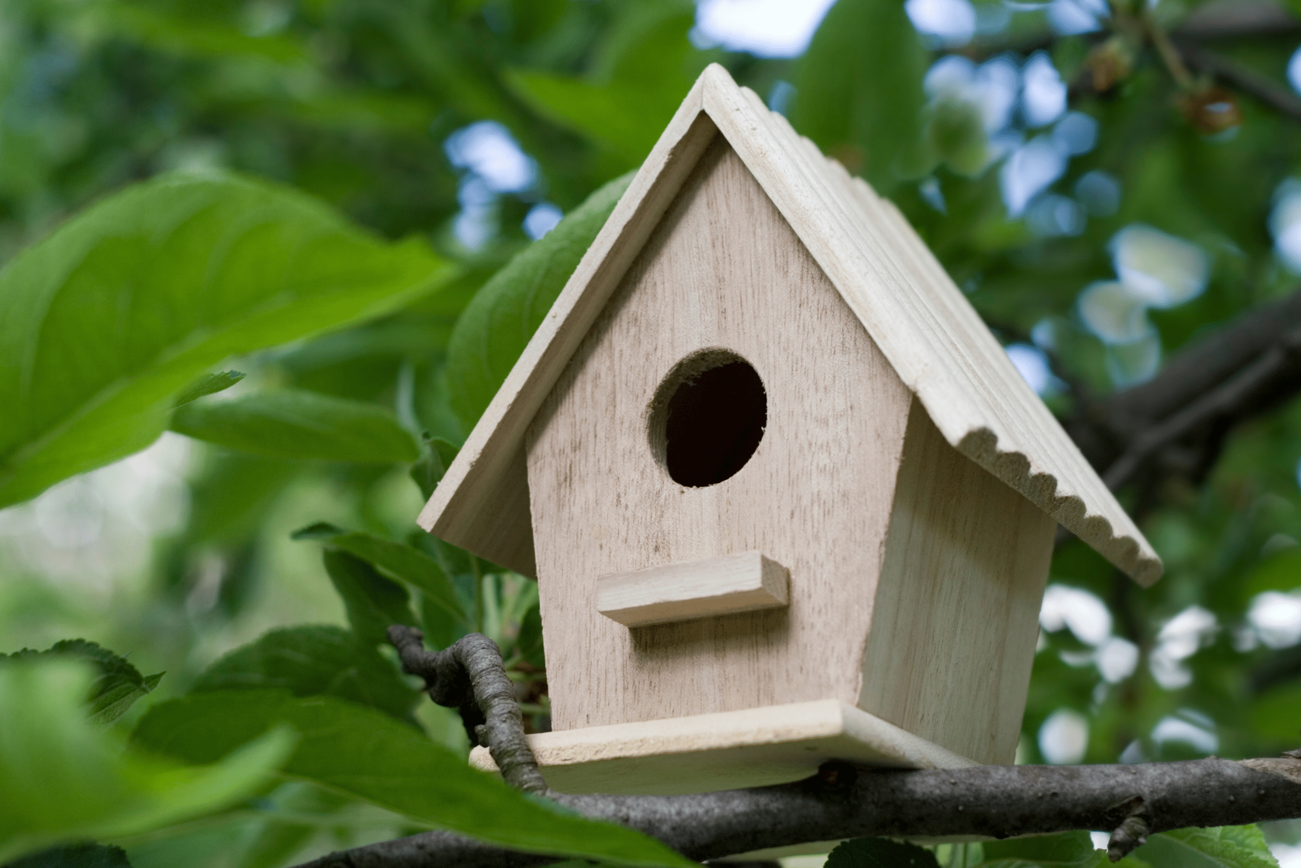 A wooden bird house.
