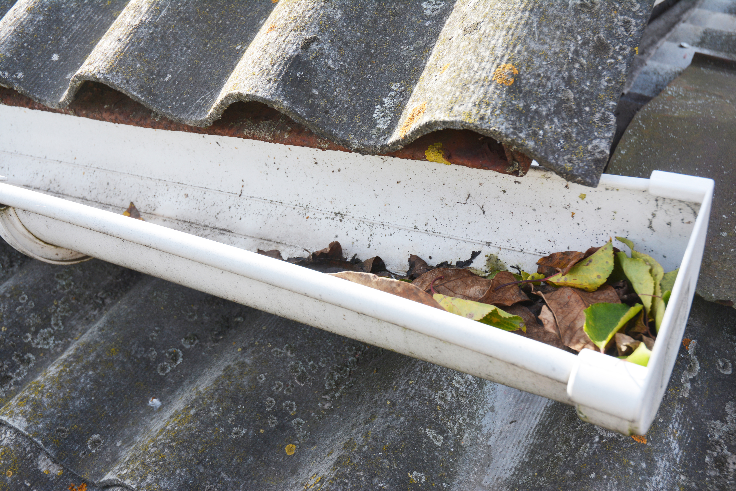 A house gutter full of leaves and debris.