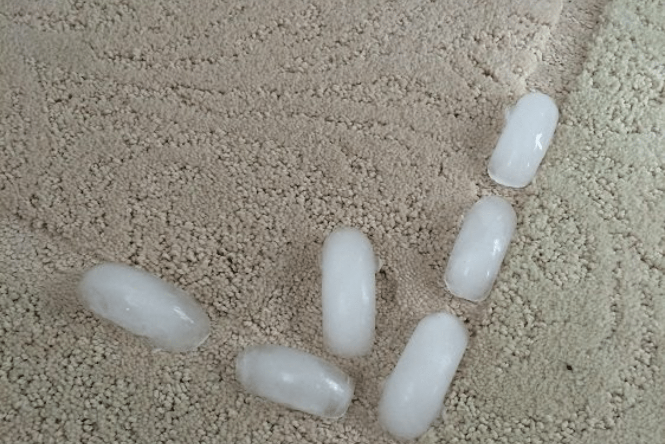 Ice cubes placed on the indent of a carpet.