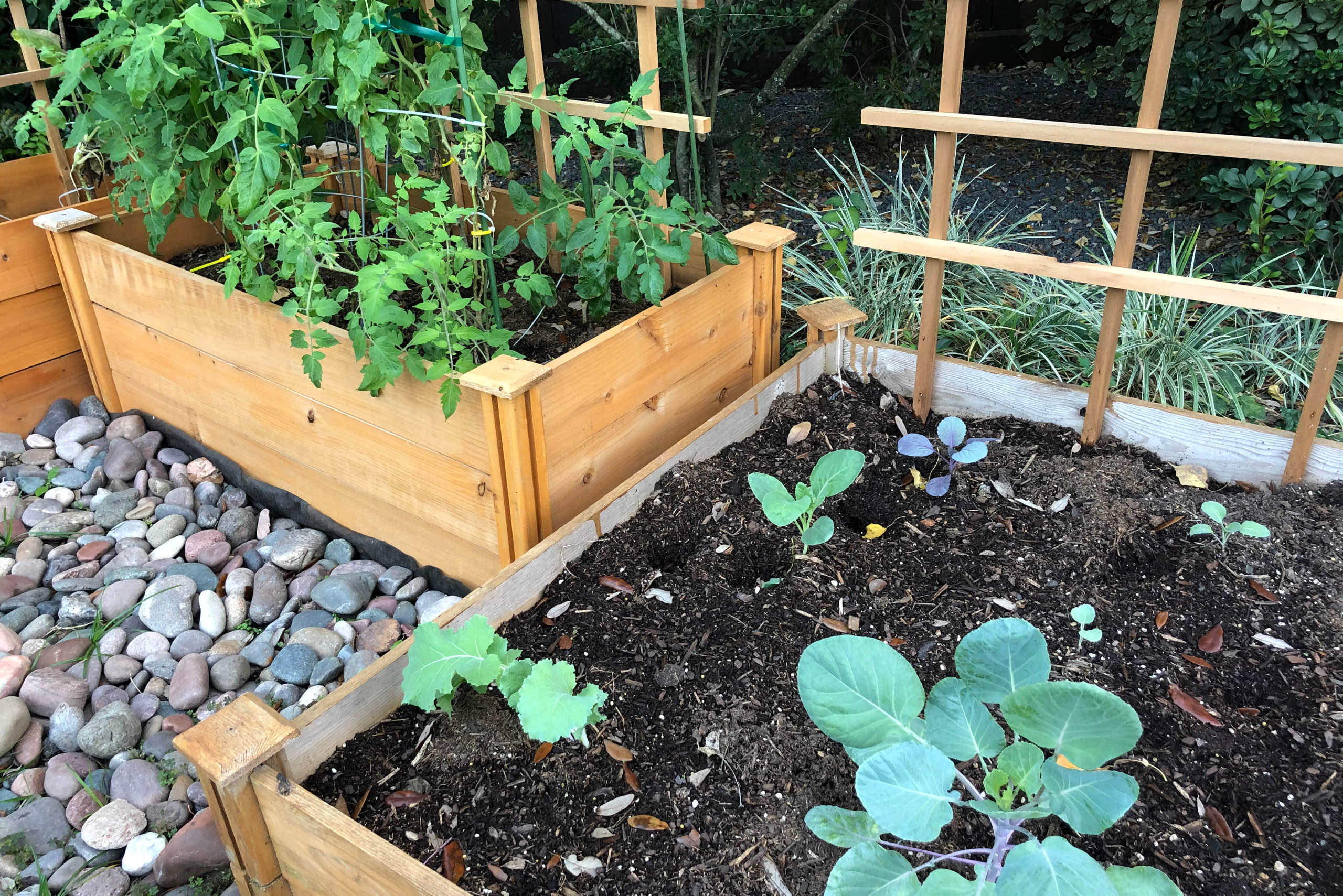 Wooden plant boxes with greenery.