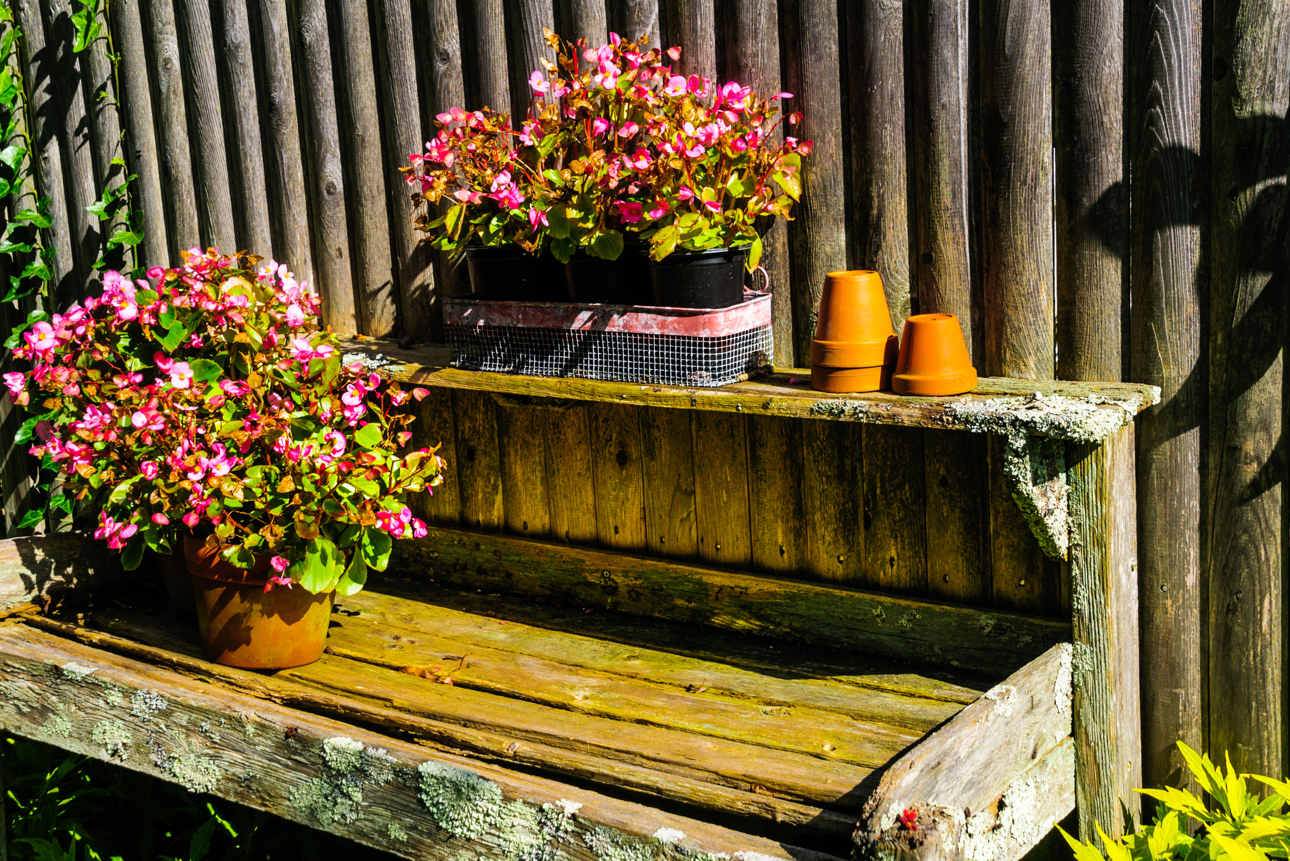 A wooden potting bench for plants.