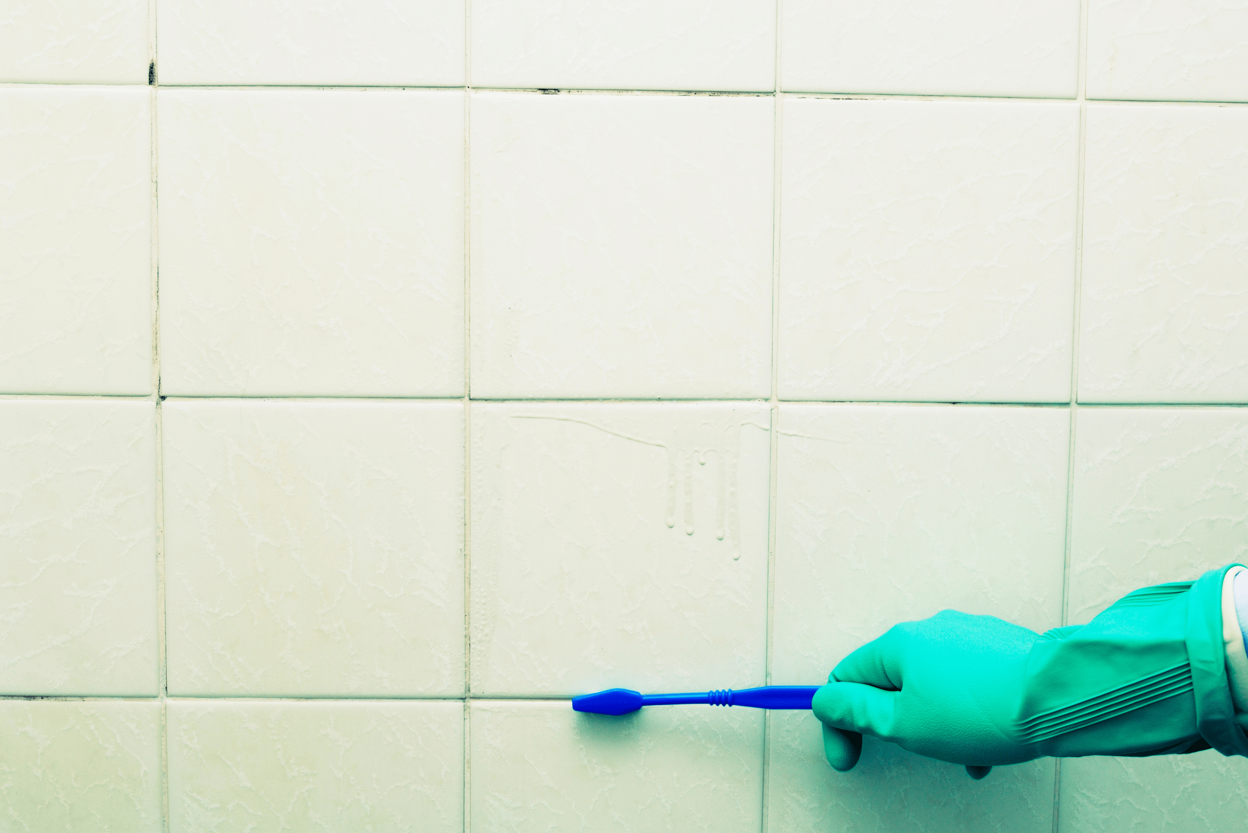 A hand wearing glove using a toothbrush to clean grout.