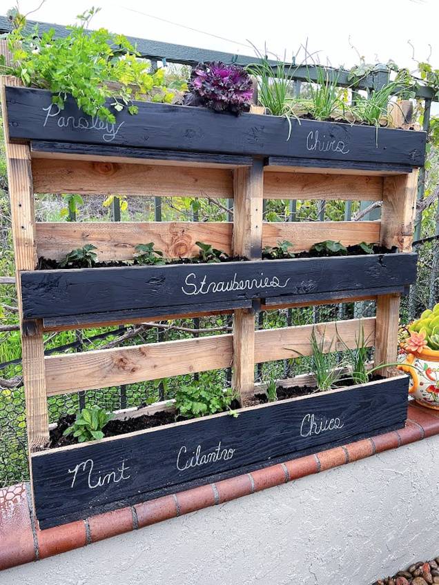 A pallet repurposed to be a vertical garden.