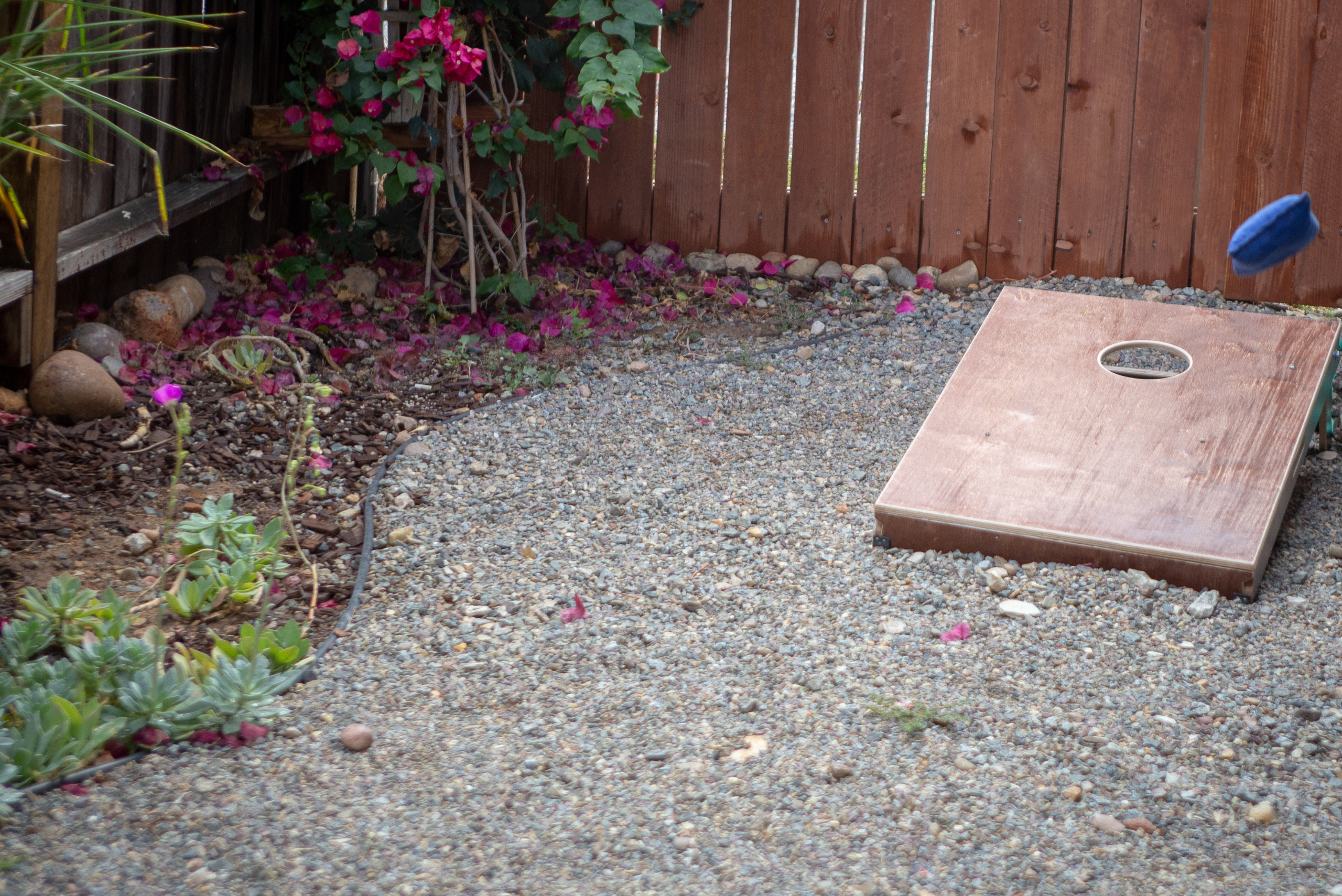 Backyard with wooden corn hole board.