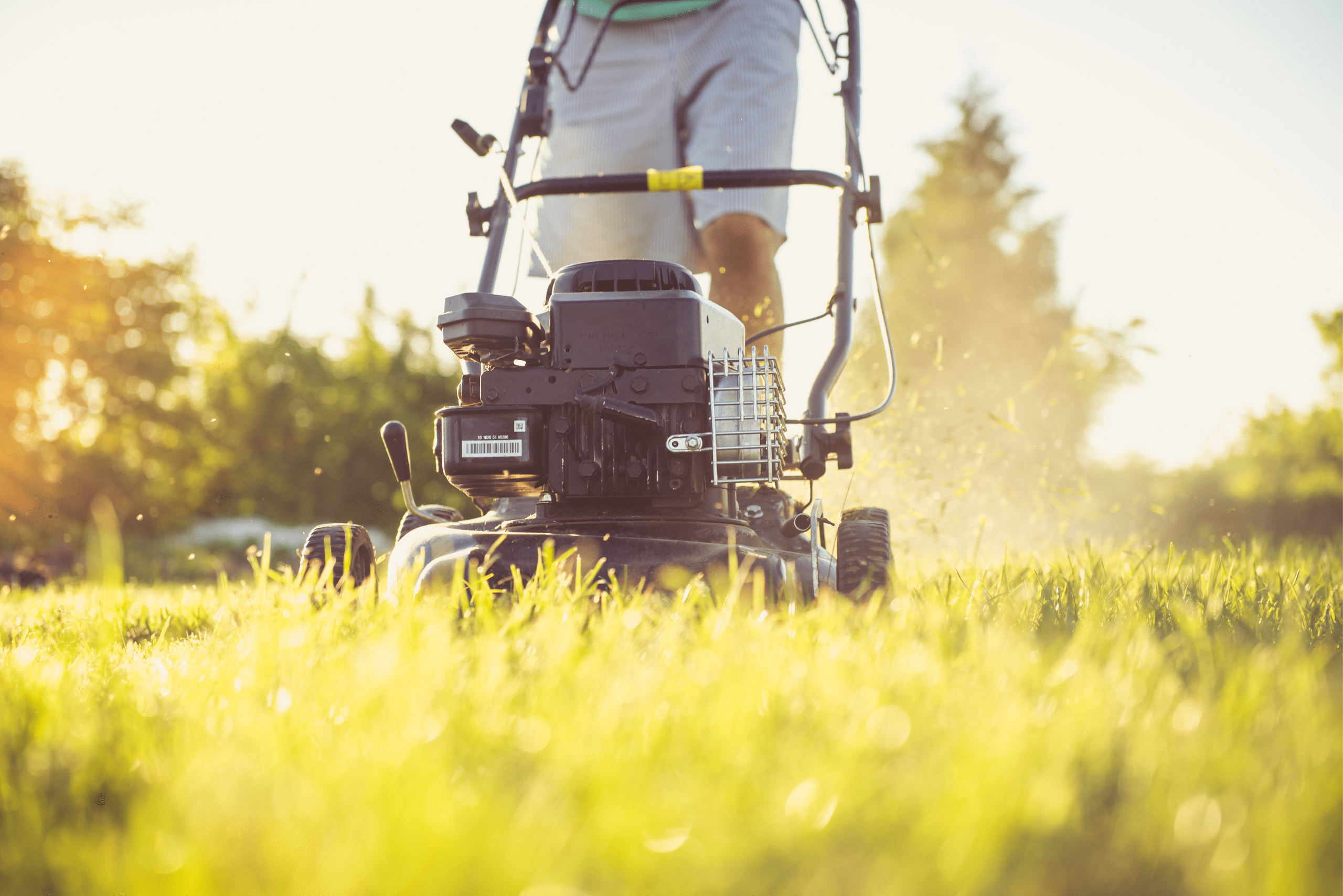 A person pushing a lawn mower on grass.