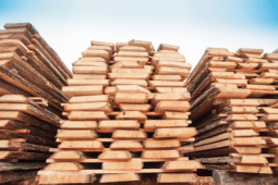 Plain Sawn vs Quarter Sawn vs Rift Sawn Wood – Differences and Benefits