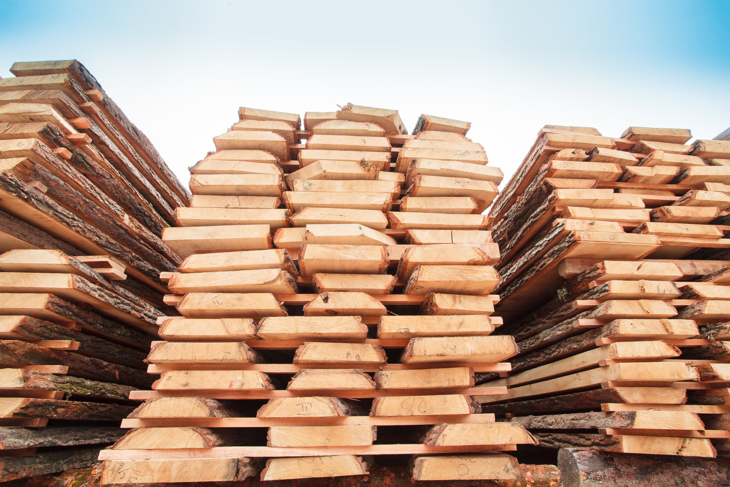 A stack of sawn wood boards.