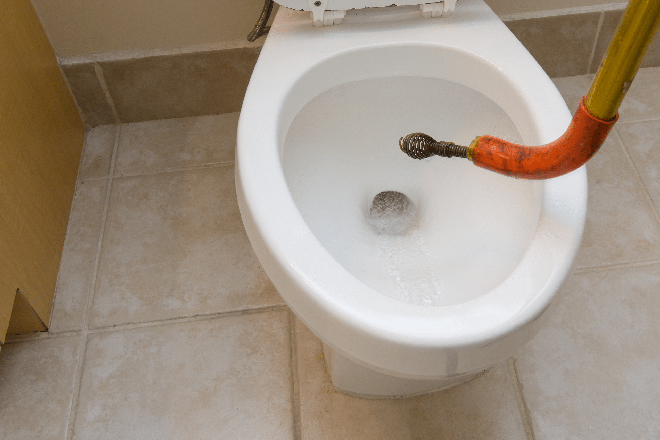 How to Snake a Toilet – Step-by-Step Drain Clearing Guide