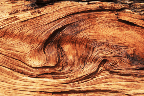 A closeup of the wood grain of distressed aged wood.
