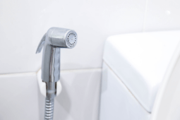 What Is A Bidet And Why You Might Want One?