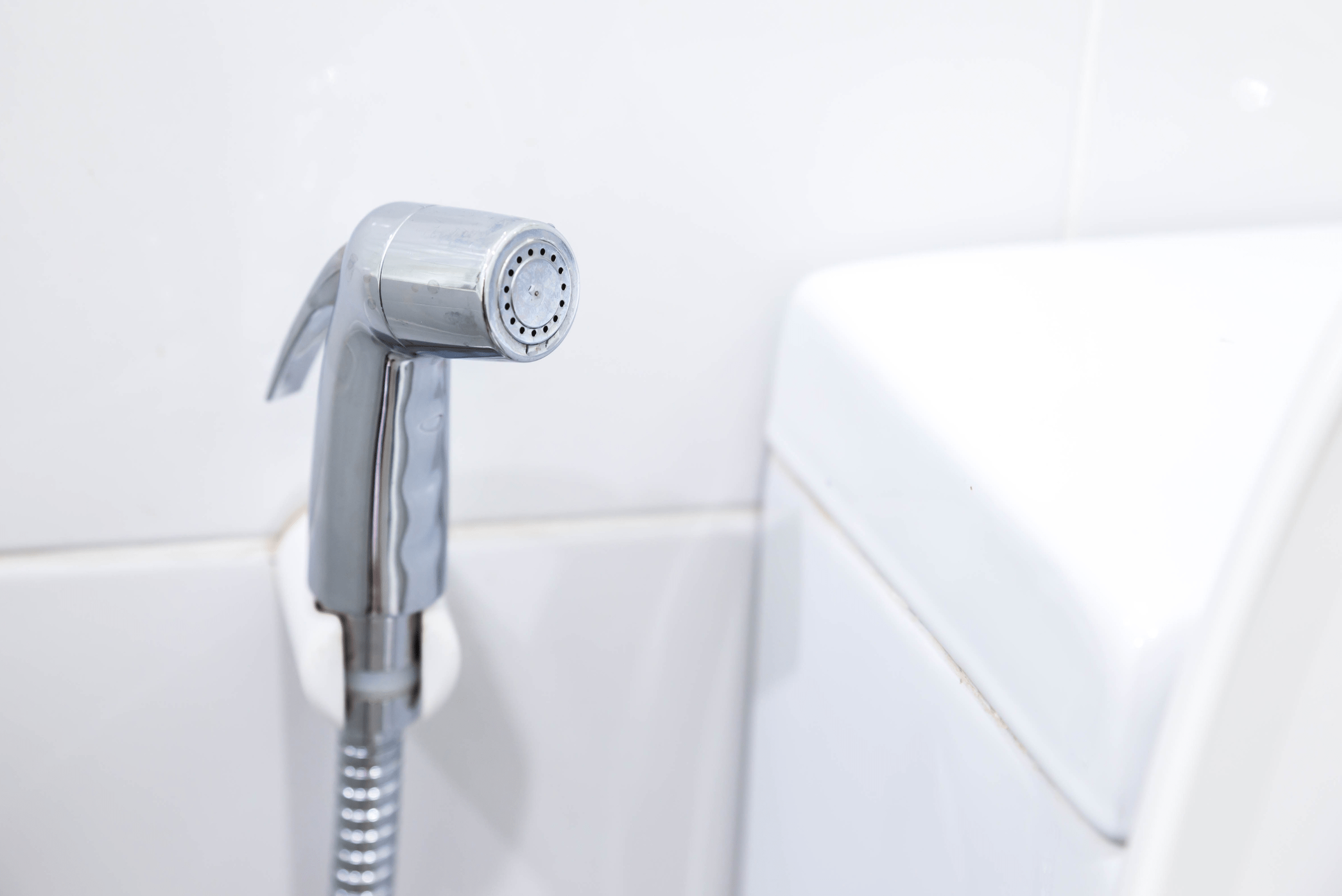 A bidet hung off a mount beside a toilet.