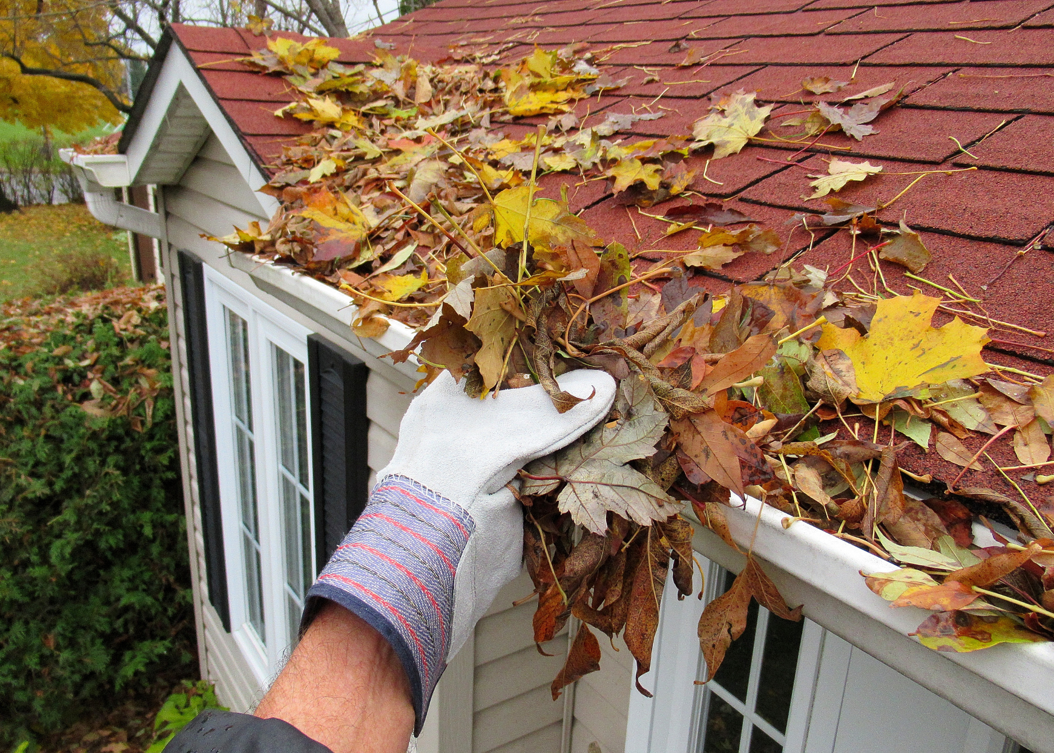 hand wearing glove cleaning leaves out of gutter close up