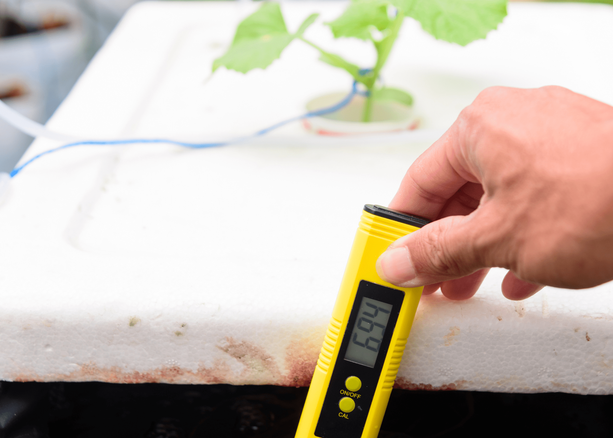 temperature reading for a hydroponic garden