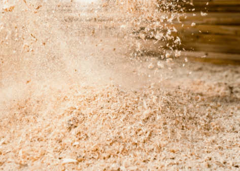 sawdust close up