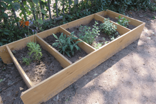 Bookshelf using as a garden.