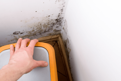 Mold growth in a corner of a room.