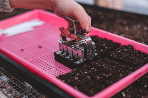 A hand using the soil blocker to deposit the soil blocks into a pink tray.