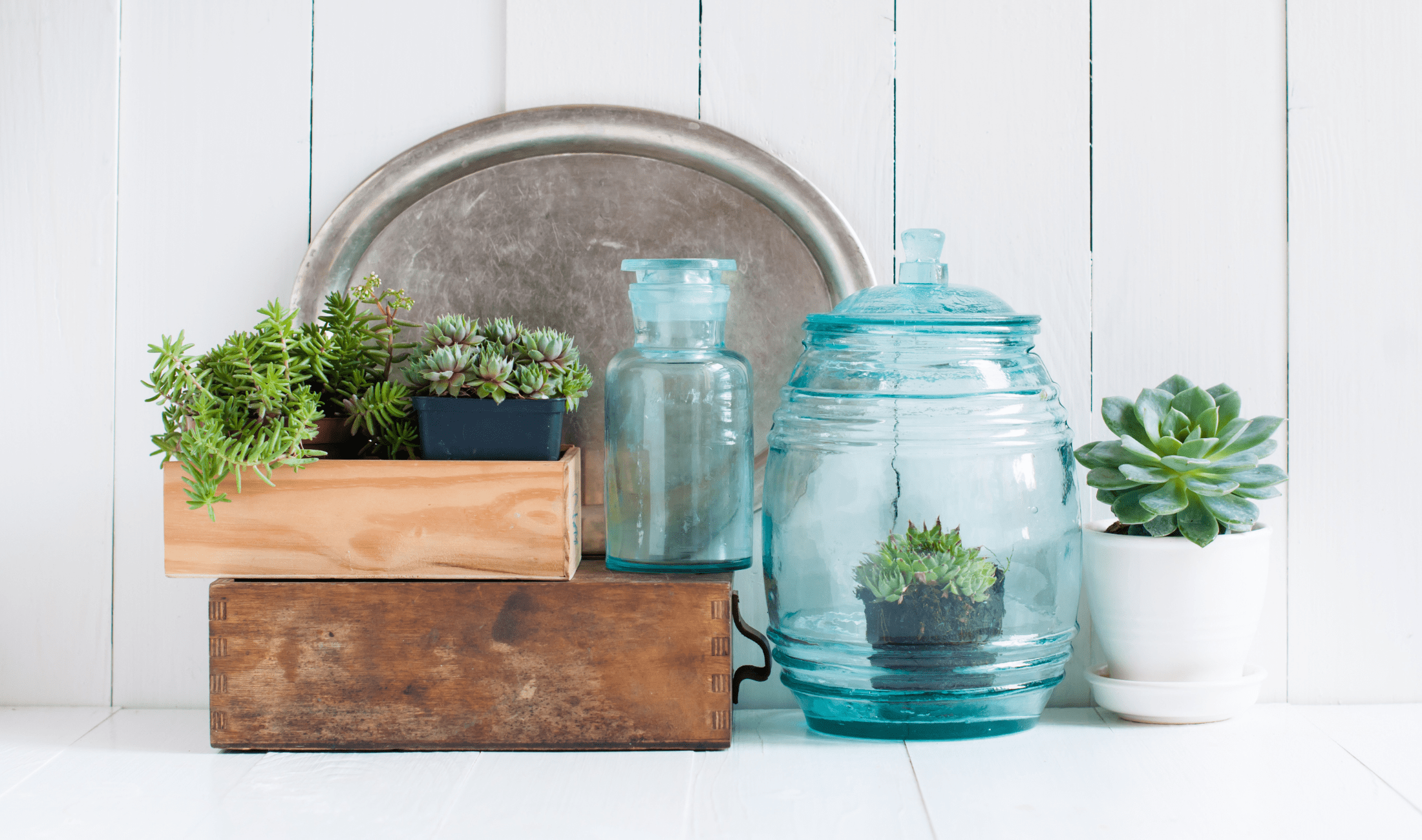 A small collection of home decor items.