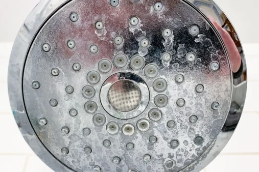 A showerhead covered in hard water deposits around each nozzle exit.