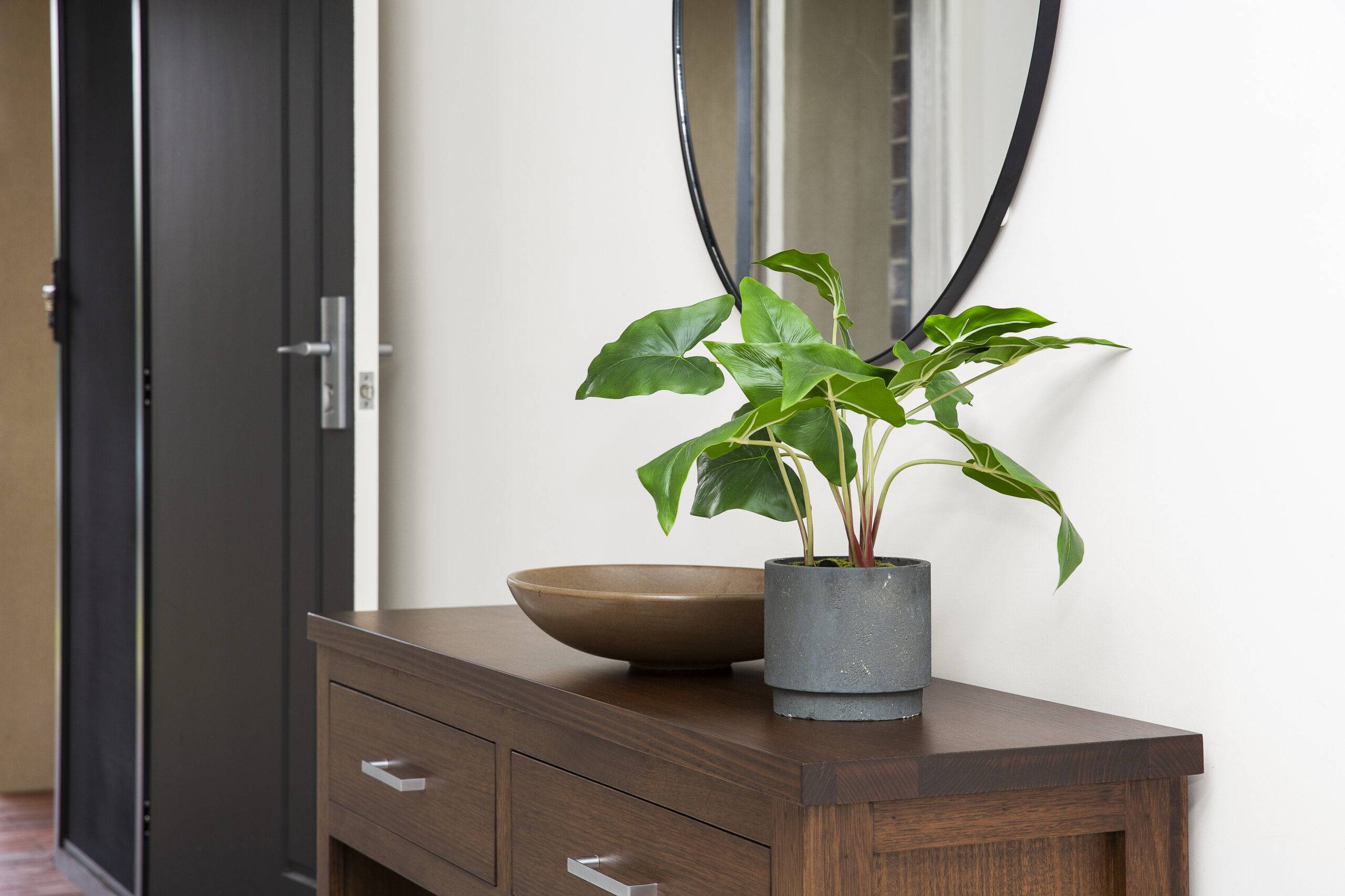 An entrance console table with a wooden bowl and plant on it.
