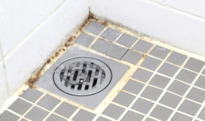How To Clean Black Mold From Shower Caulking
