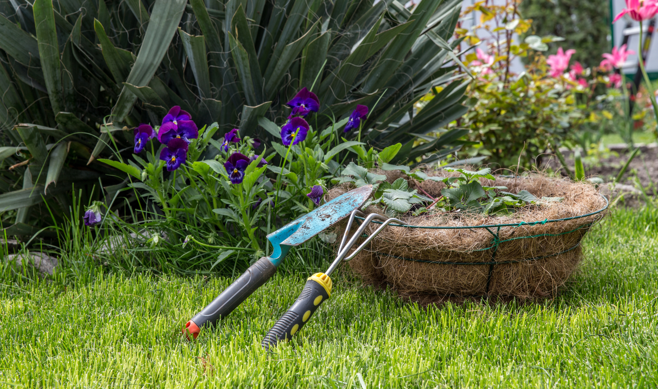 Some gardening tools outside.